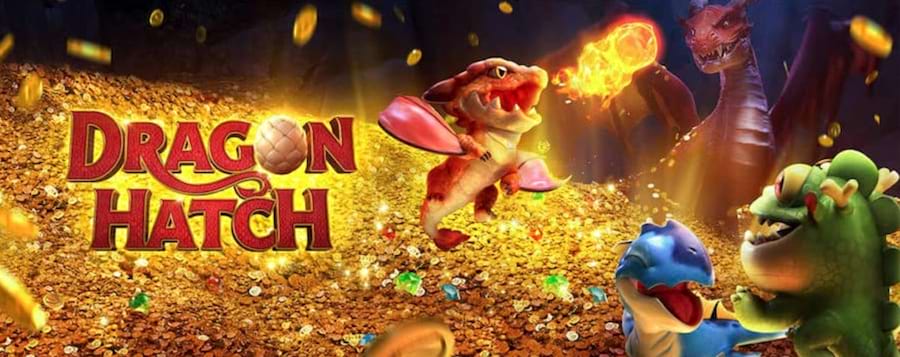 aplicativo esporte bet