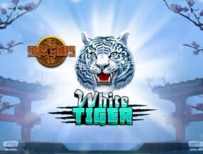 transmissao 888 poker mineirao