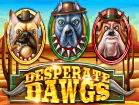 betway poker app