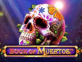 manual para apostadores da loteria