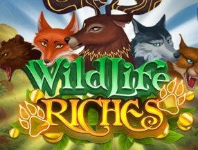 chilli frenzy slots