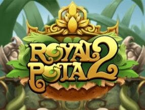 pinnacle. com