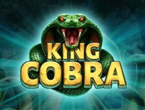 betking sign up