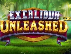 heineken slots bet