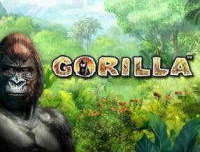jogos da onebra