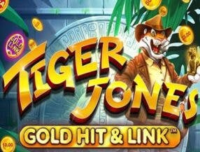 app bingo slots